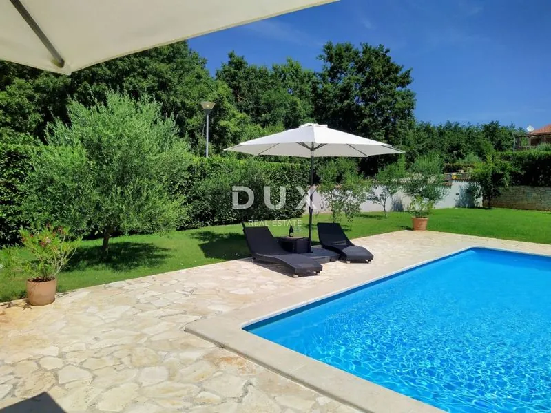 Pool with olive tree